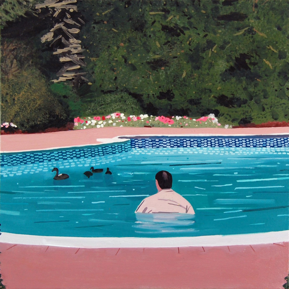 Back view of a man floating in a swimming pool watching a group of ducks swim by