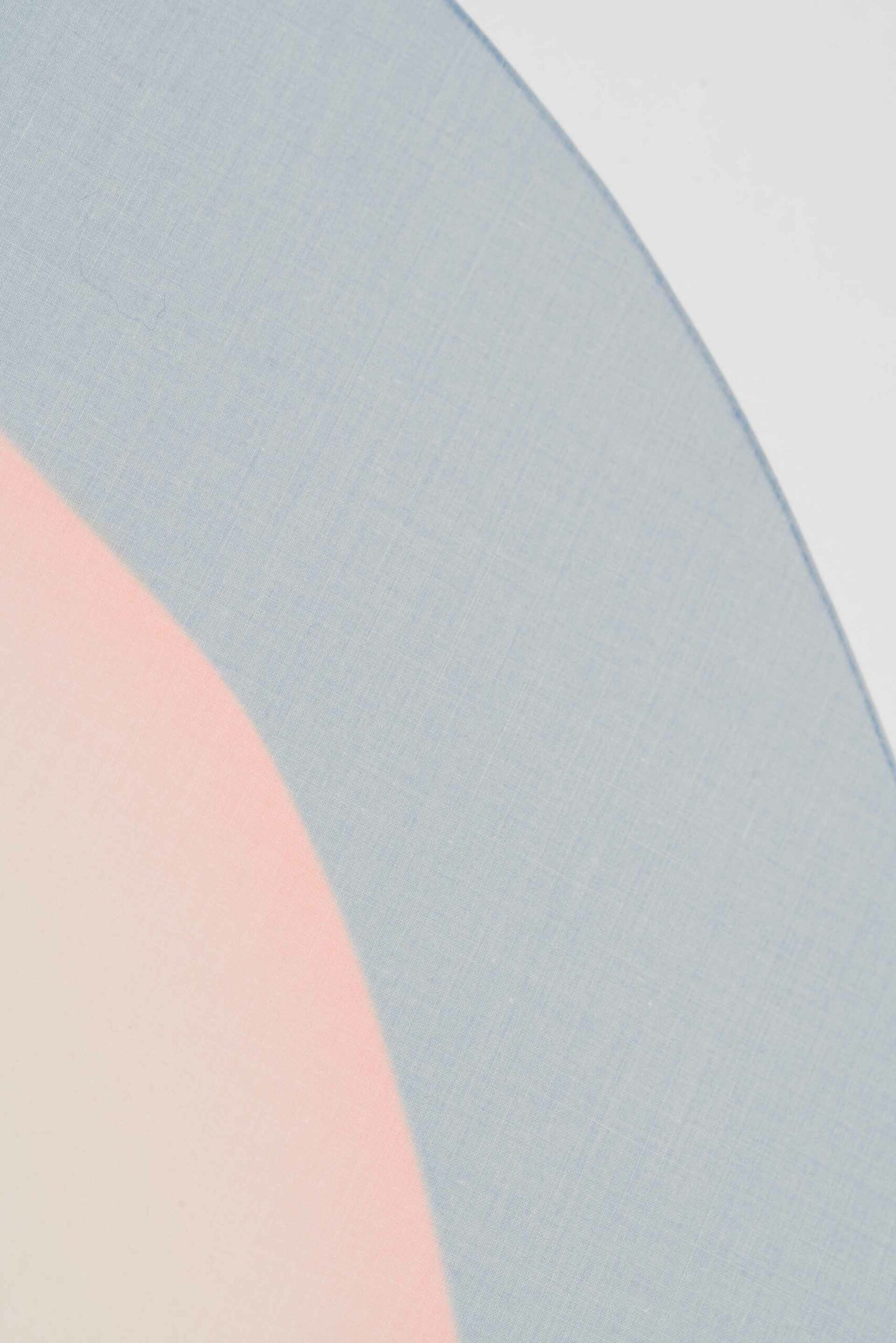 Pale blue circular image ringing a pale pink circle like shape against a white background