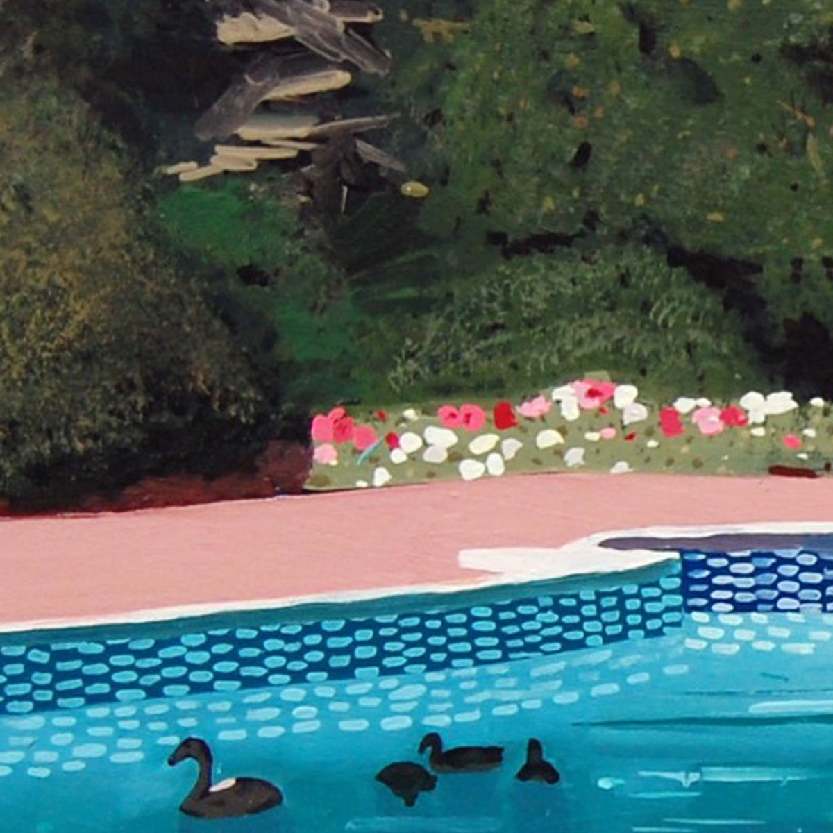 Back view of a man floating in a swimming pool watching a group of ducks swim by